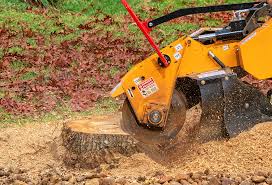 Trusted Mill Creek East, WA Tree Care Experts